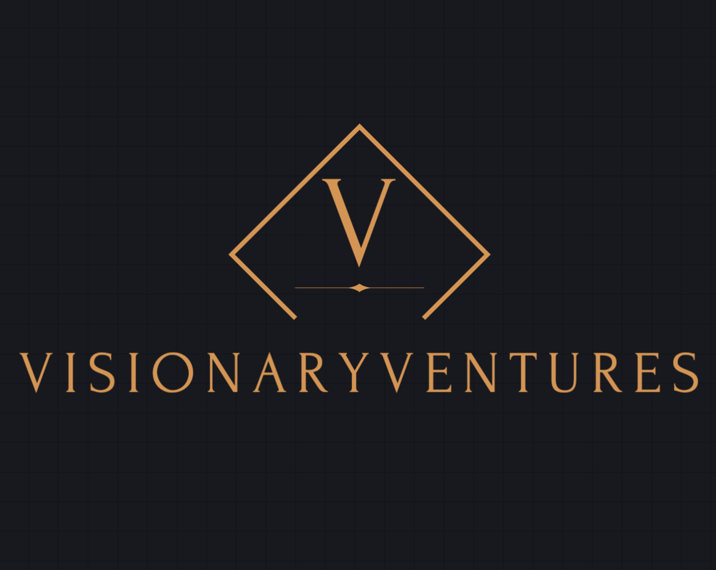 visionaryventures